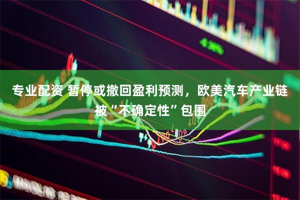 专业配资 暂停或撤回盈利预测，欧美汽车产业链被“不确定性”包围
