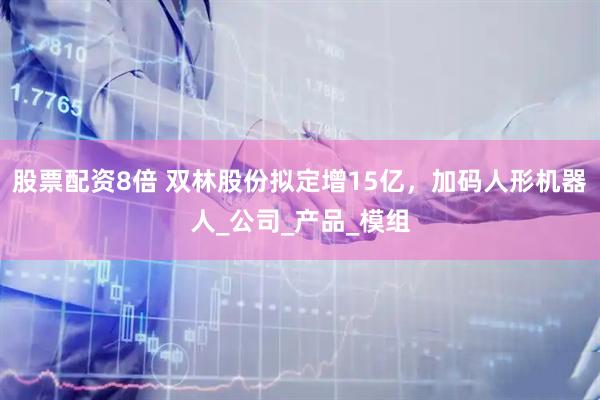 股票配资8倍 双林股份拟定增15亿，加码人形机器人_公司_产品_模组