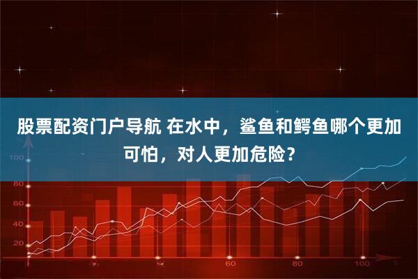 股票配资门户导航 在水中，鲨鱼和鳄鱼哪个更加可怕，对人更加危险？