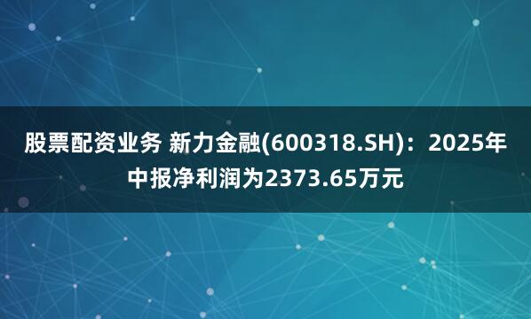 股票配资业务 新力金融(600318.SH)：2025年中报净利润为2373.65万元